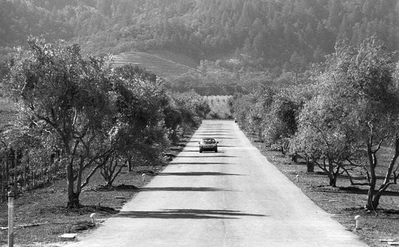 Opus One driveway on black and white 35mm film with a vintage car